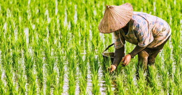 買土地可以貸款嗎？🏡6步驟教你土地貸款流程、利率、成數全解析！