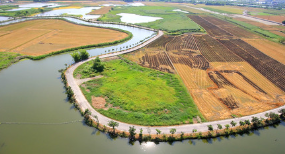 寶佳、名軒都來了！🚄建商搶進苗栗高鐵特區的真正原因是它？