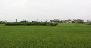 ✅原鄉正義再向前！台糖土地權利回復上路：族人終於領回祖先土地