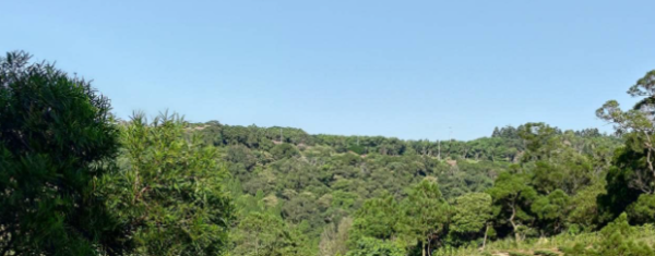 🚨違建無所遁形！桃園楊梅保護區違法重建再遭強拆，政府監控科技升級