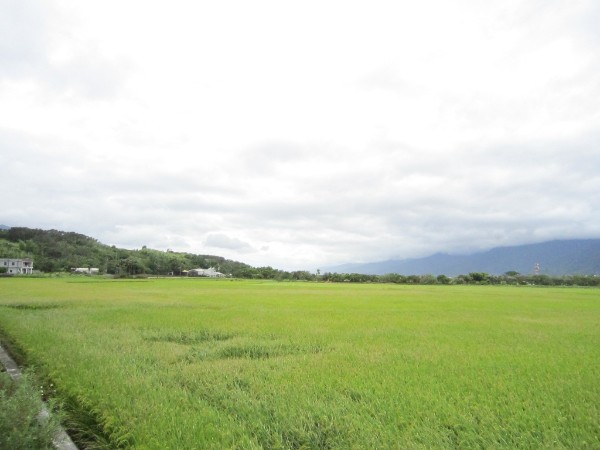 【甲種建築用地全解析】掌握土地法規與投資關鍵，讓你買地不踩雷！