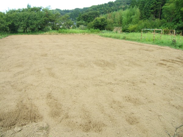 ⚠️【2025最新解析】租地建屋竟要繳契稅？企業常見陷阱與稅務風險總整理