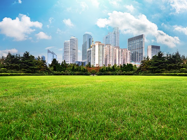 💯 農地變更申請全攻略：別再聽信偏方！一篇搞懂應備文件、流程與隱藏成本