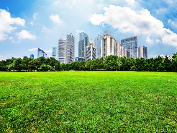 💯 農地投資全攻略：不是有錢就能買！一篇搞懂農地種類、買賣限制與潛在價值